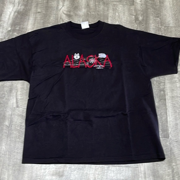 Alaska Embroidered Tee - Picture 8 of 8